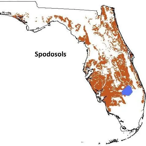 thumbnail for publication: Agricultural Soils of Florida